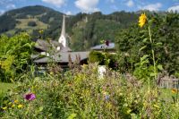 Raurisertal Bauerngarten (c)TVB Rauris Fotograf Lukas Pilz.jpg