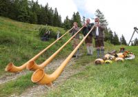 Almsommer (c) SalzburgerLand Tourismus Neumayr .jpg