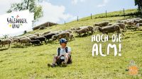 Hoch die Alm (c) SLT Bild 13.jpg