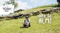 Hoch die Alm (c) SLT Bild 14 .jpg